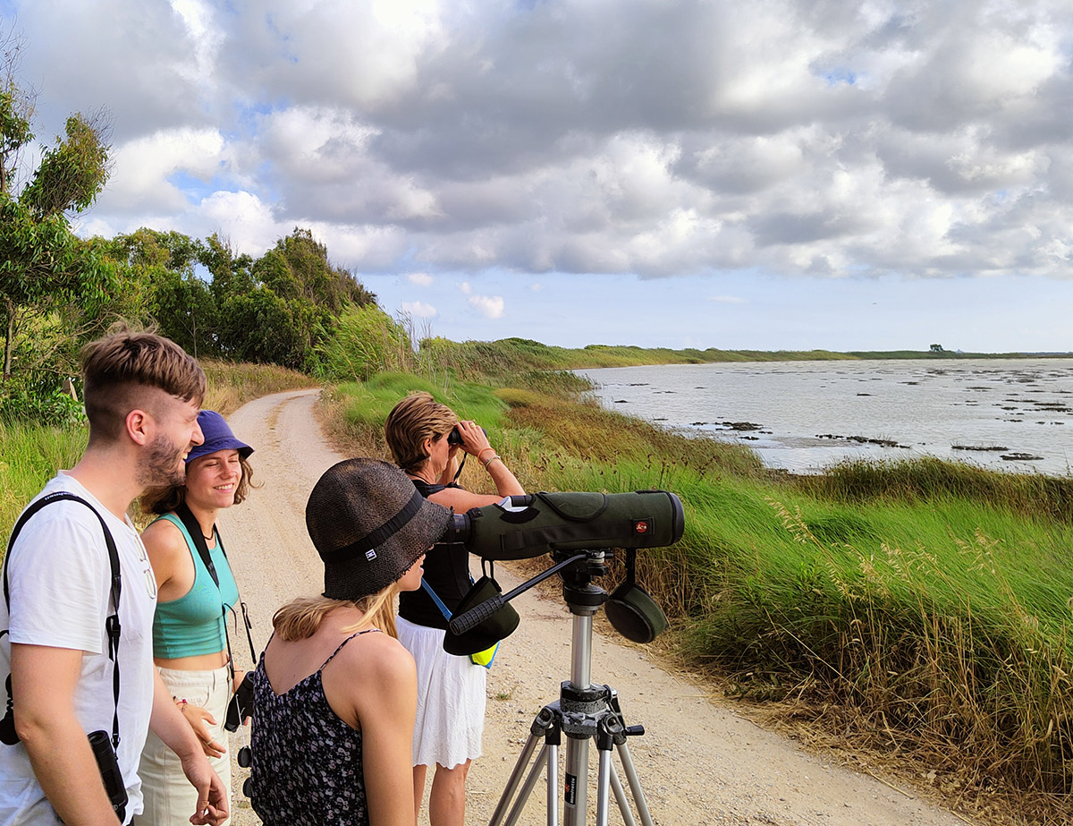 Birdwatching session in Cabras