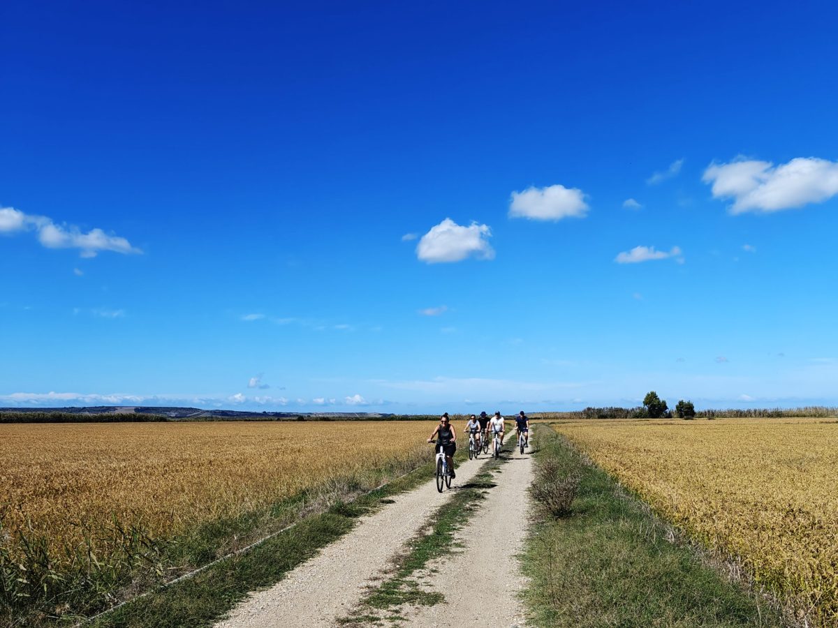 Sentieri in bici Sentieri di campagna in bici
