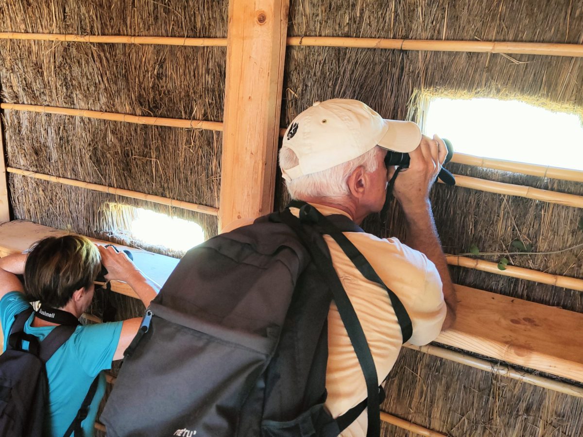 Osservazione dal Capanno di birdwatching