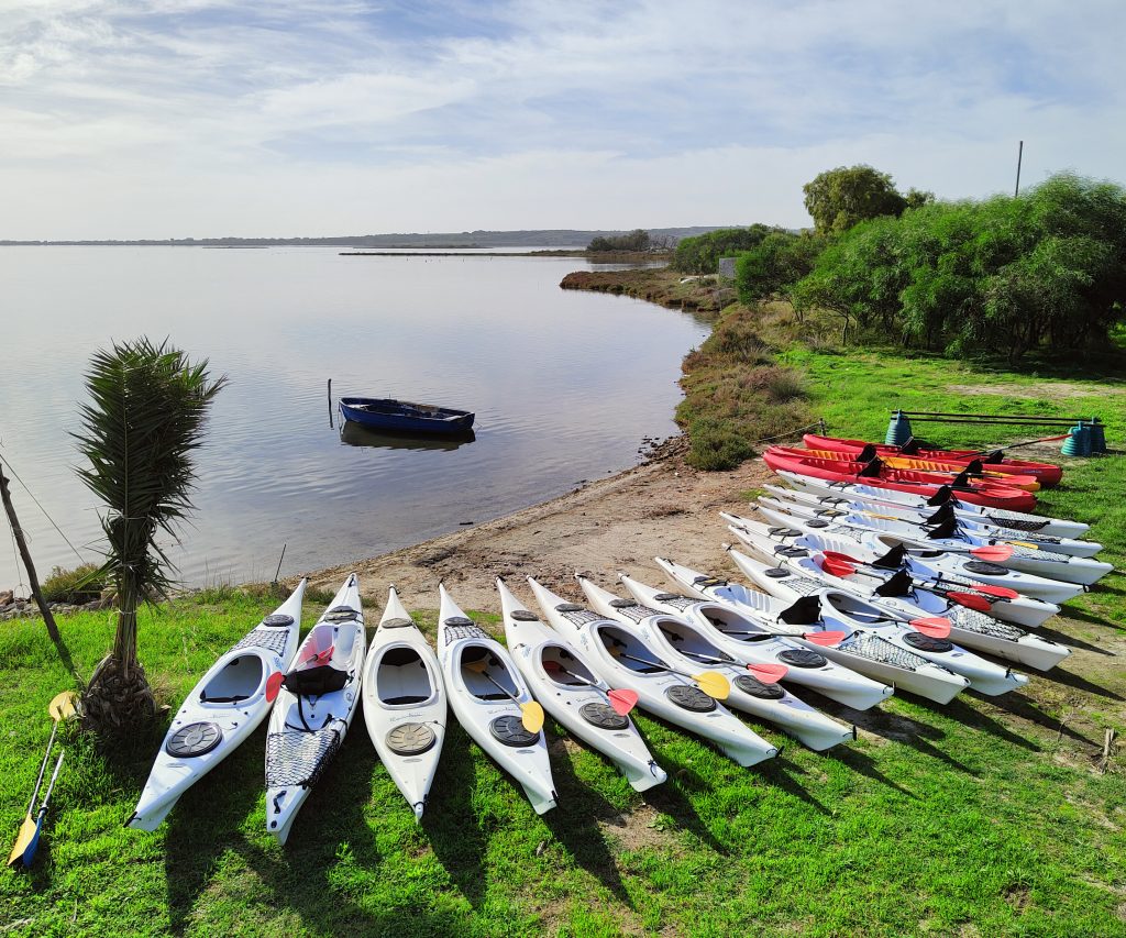 Kayak