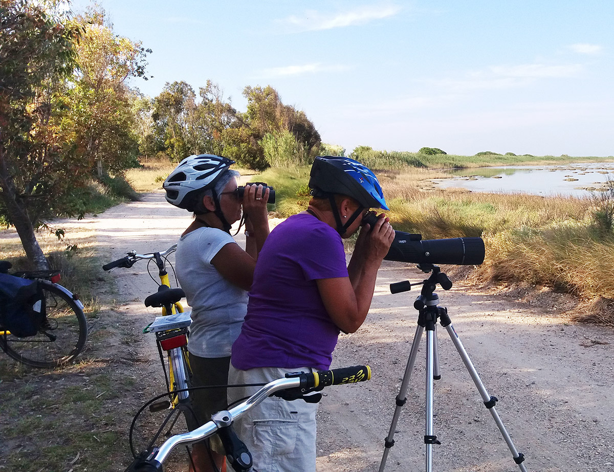 Birdwatching by bicycle