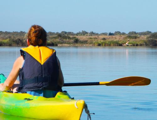 Kayak and flamingo