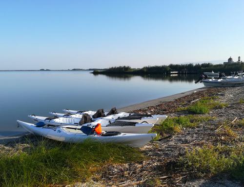 Kayak in Cabras lagoon