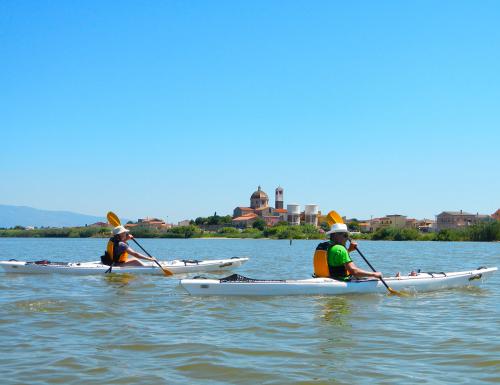 Kayak in Cabras lagoon