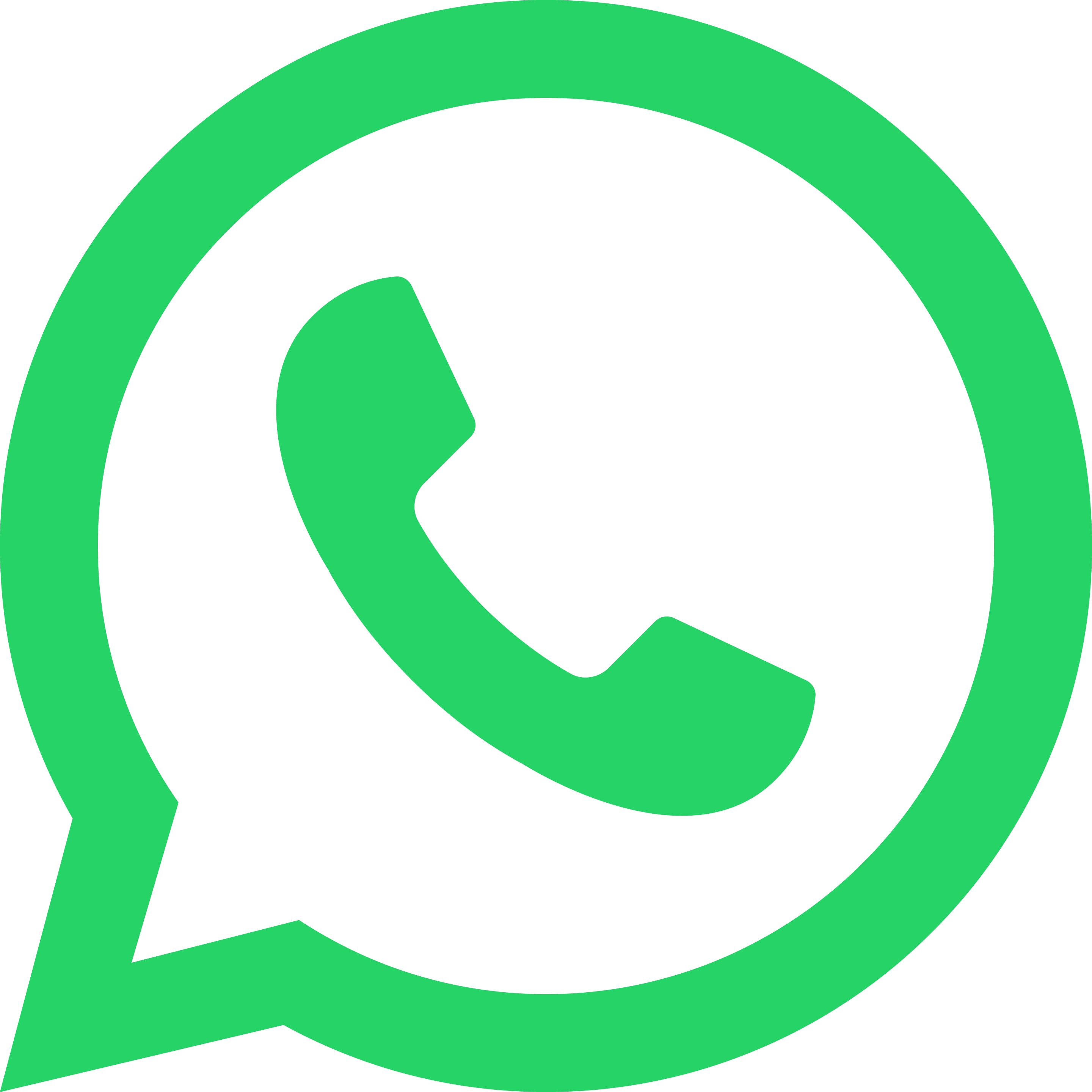 Icona WhatsApp