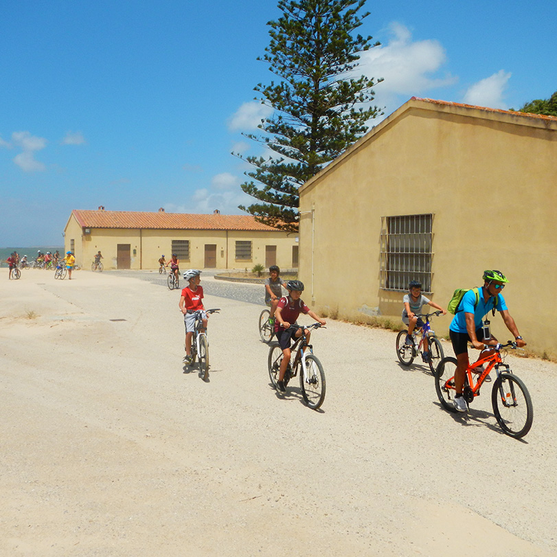 Cabras in bici