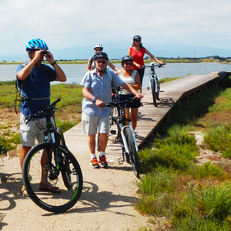 Birdwatching by bicycle